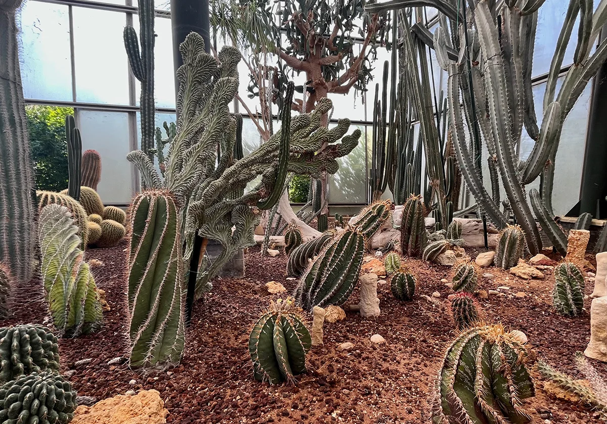 La Cutura Giardino botanico, Maglie