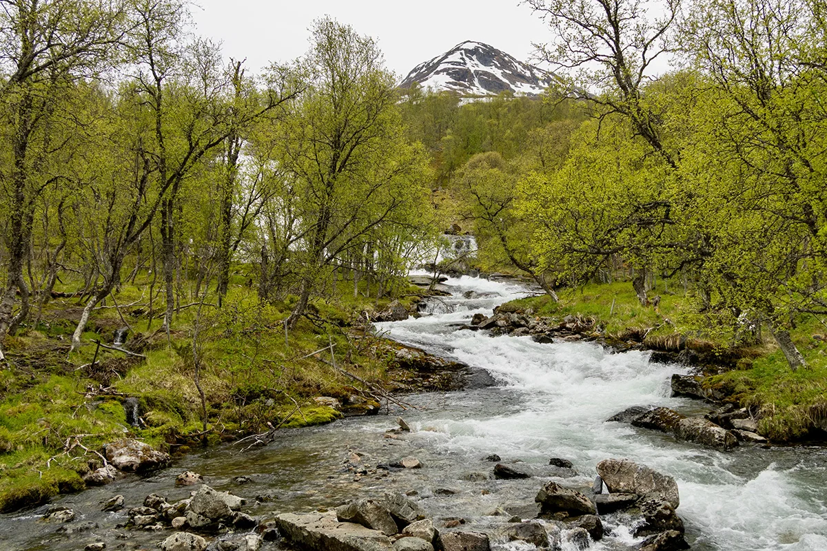 Aurlandsfjellet scenic route