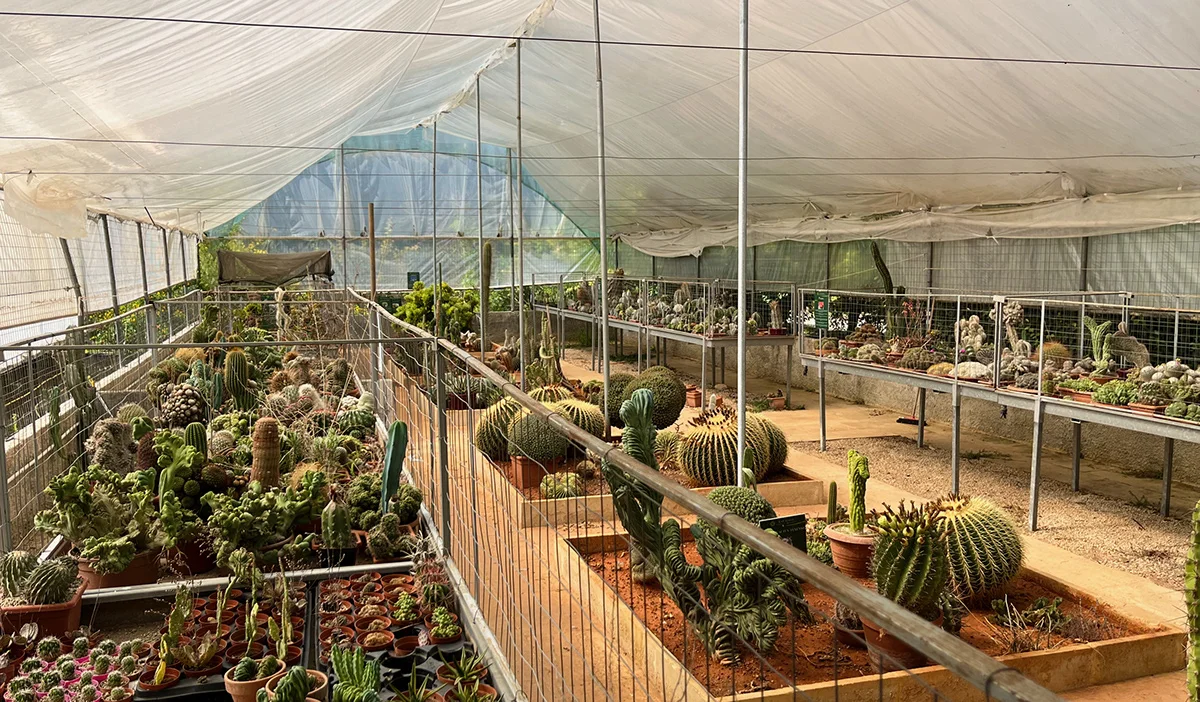 La Cutura Giardino botanico, Maglie